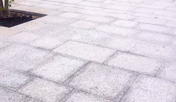 Amenajare malul Somesului (Cluj)